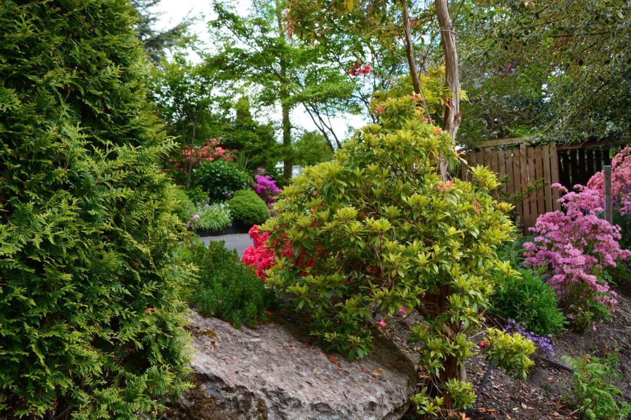 The Grove Lodge Guesthouse Killorglin Kültér fotó