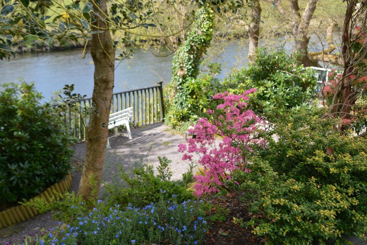 The Grove Lodge Guesthouse Killorglin Kültér fotó