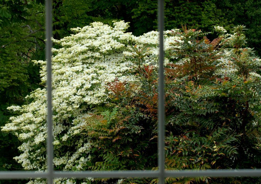 The Grove Lodge Guesthouse Killorglin Kültér fotó