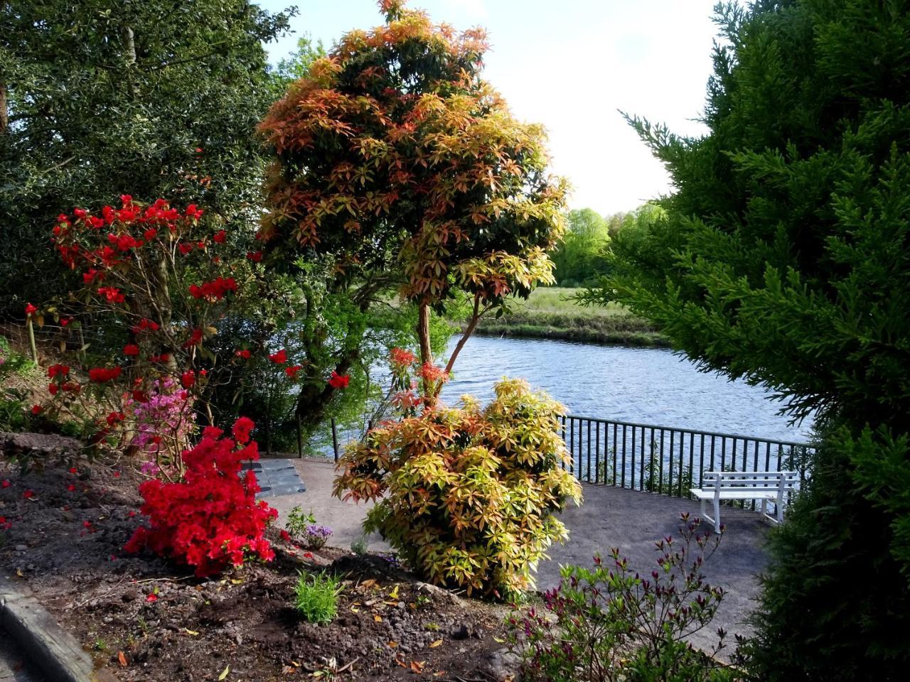 The Grove Lodge Guesthouse Killorglin Kültér fotó